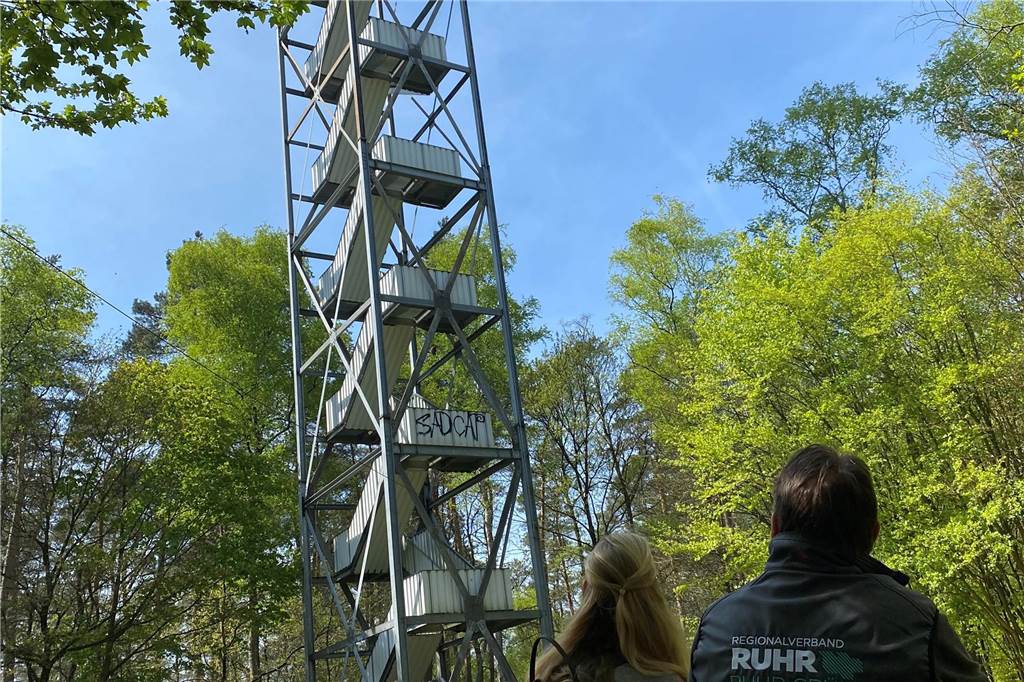 Wanderweg Hohe Mark Steig: Sieben Orte für außergewöhnliche Ausblicke Blick auf den Feuerwachturm Galgenberg in Dorsten.