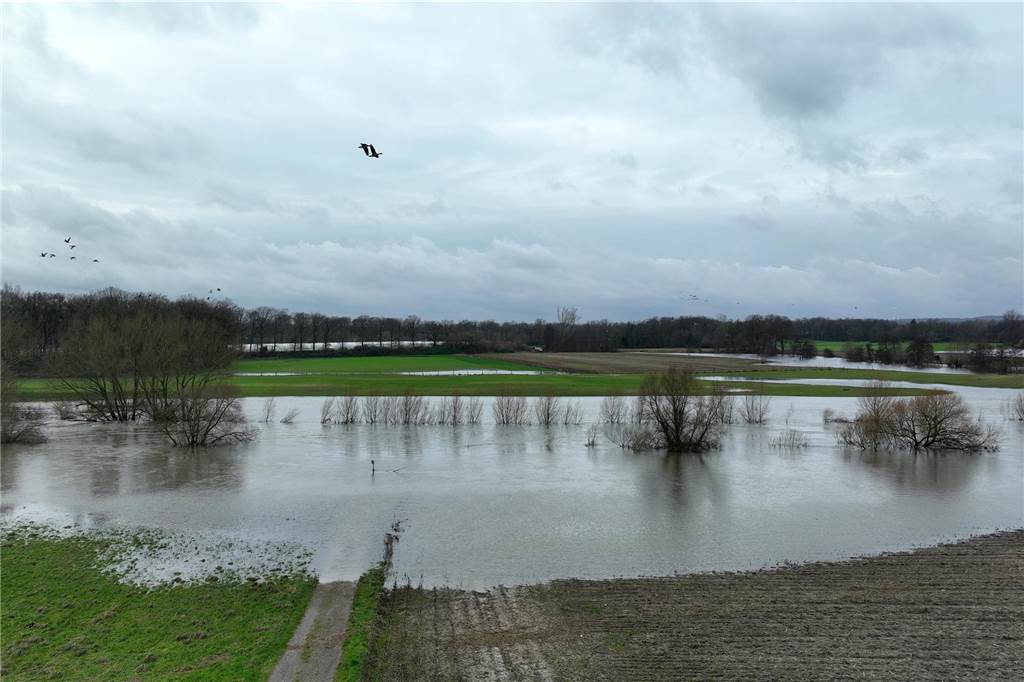 Blick auf die Rauschenburg in Vinnum.
