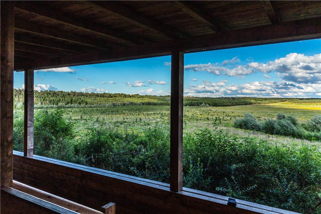 Wanderweg Hohe Mark Steig: Sieben Orte für außergewöhnliche Ausblicke Blick aus der Wild-Beobachtungskanzel am Rhader Weg in Schermbeck.