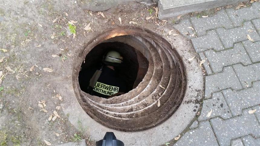 Drama um Entenfamilie: Küken in Fallrohr verschwunden Blick in den Schacht.
