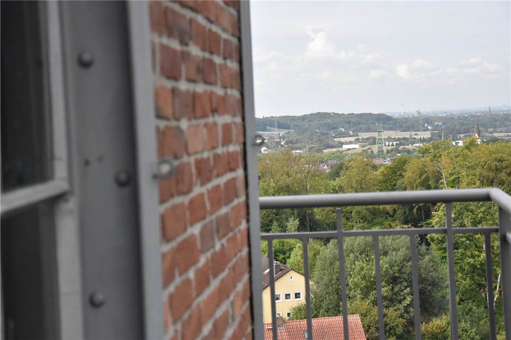 Blick vom Hammerkopfturm auf den Erinturm