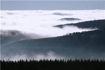 Blick vom Hochheideturm über das Rothaargebirge. Eine der geführten Touren bei den Willinger Wanderwochen führt auch zum Hochheideturm. Foto: Uwe Zucchi