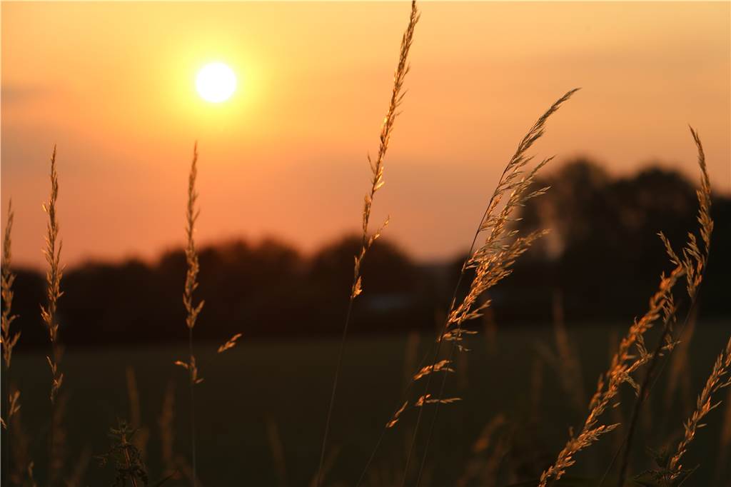 Blick vom K1 in den Sonnenuntergang. Der Radweg bietet sich an für eine entspannte Tour am Abend.