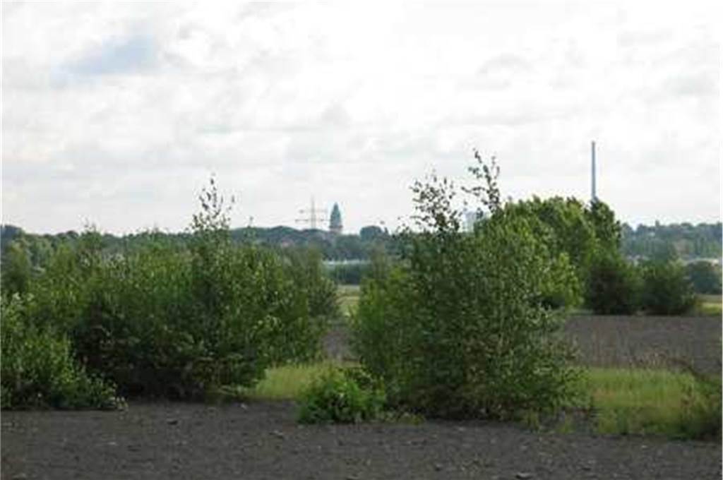 Politik berät – Naturschutz sagt „Nein“ zum Gewerbegebiet Groppenbruch Blick von der Halde „Groppenbruch“ auf Brambauer: Der Naturraum ist planerisch ein mögliches Gewerbegebiet.