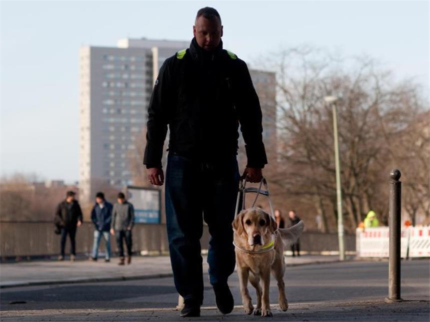 Mit Hochleistung dabei: Blindenhunde sind kostbare Begleiter Blindenhunde wie Bonja bedeuten für ihre Halter Freiheit, Unabhängigkeit und Lebensqualität. Foto: Klaus-Dietmar Gabbert