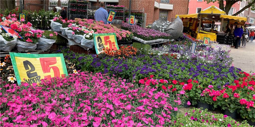 Altstadtfest Dorsten: Am Sonntag lockten Geschäfte und Bühne Eine holländischer Blumenstand auf der Lippestraße