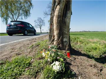 Blumen und Kerzen liegen an der Unfallstelle. Fünf junge Erwachsene waren am 1. Mai ihrem Auto auf gerader Strecke vor den Baum geprallt. Foto: Julian Stratenschulte