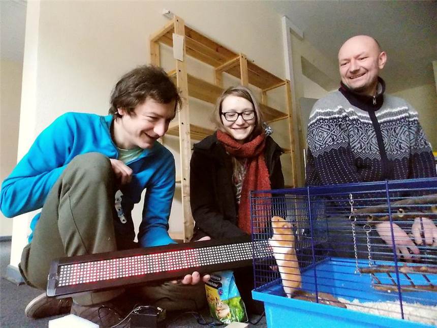 Hamster demonstrieren gegen Kapitalismus Boah, ist der niedlich: Die Künstler Johannes Mundinger und Sophia Hirsch sowie Juror Ruppe Koselleck (v.l.) nehmen Kontakt zum ersten Energie-Hamster auf.