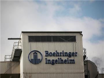 Boehringer Ingelheim will bis Ende 2016 bis zu 600 Stellen streichen. Foto: Fredrik von Erichsen/Archiv
