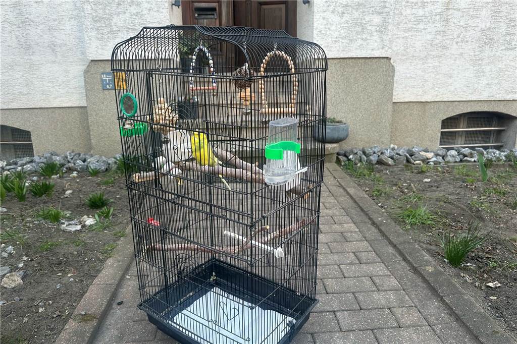 Bombenentschärfung und Evakuierung in Lünen: Eindrücke aus dem betroffenen Bereich.