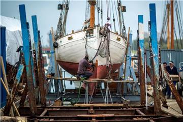 Bootsbau auf der Werft der Poeler Bootsbau GmbH. Hier arbeitet auch Meister Ralf Asmus. Foto: Jens Büttner