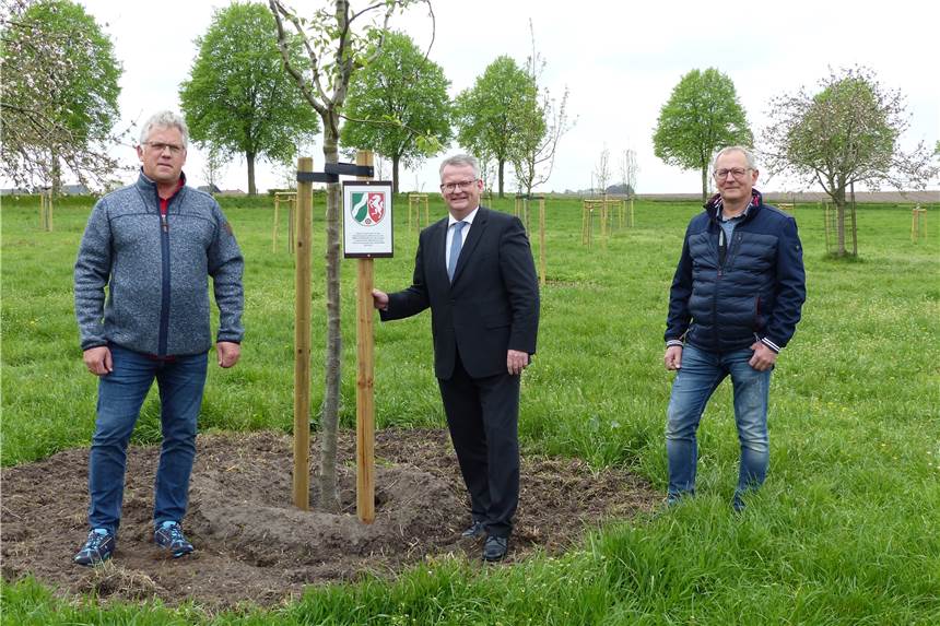 287 neue Bäume für Raesfeld: Auch das Schlossumfeld profitiert Bürgermeister Martin Tesing (Mitte) freut sich mit Bernd Roters (r.) und Bernhard Kösters vom Bauamt der Gemeinde Raesfeld über die vielen neu gepflanzten heimischen Obstbäume.