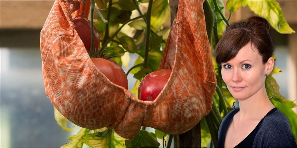 Oben ohne im Freibad: Meine Brust ist Dortmund egal - gut so! Büstenhalter stützen auch prima Tomaten. In Dortmunds Freibädern werden sie jedenfalls nicht benötigt.