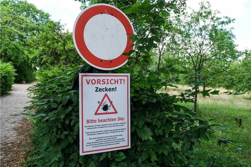 Gefährliche Zecken in NRW: Erste Region des Landes wird FSME-Risikogebiet Bundesweit gelten aktuell 175 Kreise und kreisfreie Städte als FSME-Risikogebiete - nun auch eine Region in NRW.