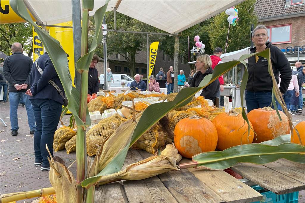 Bunte Farben schmückten die vielen Marktstände zum Thema Herbst