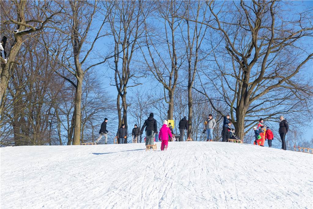 Rodelspaß: Stadtlohn will keine Winterberger Verhältnisse auf dem Losberg Buntes Wintersporttreiben auf dem Losberg am Donnerstagnachmittag.