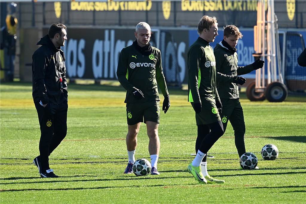 BVB-Abschlusstrining vor dem Heimspiel gegen Lille.