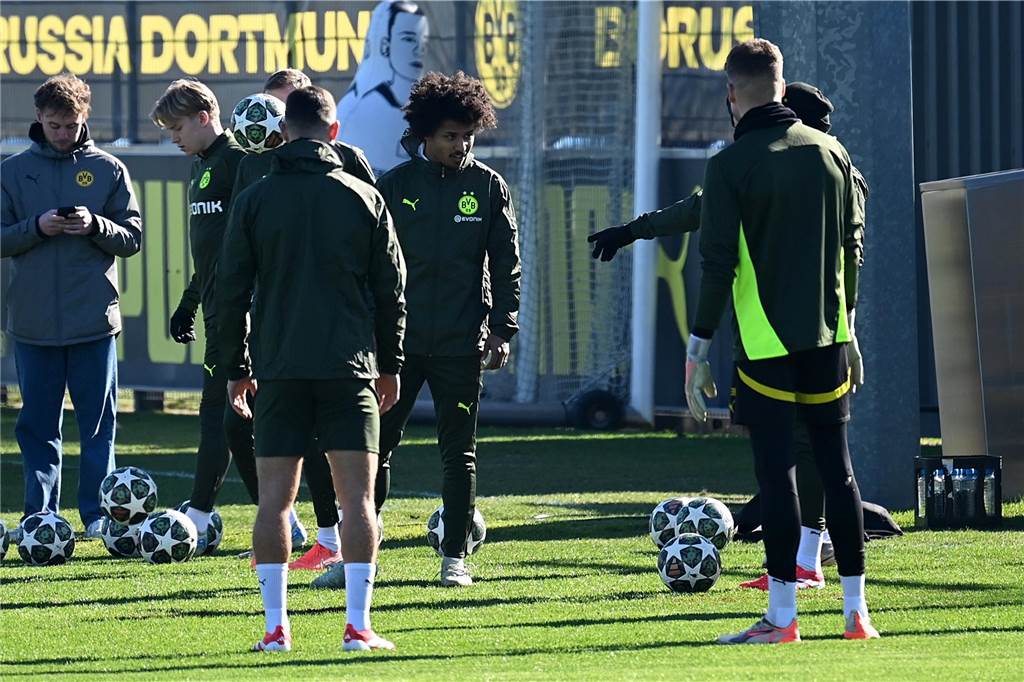 BVB-Abschlusstrining vor dem Heimspiel gegen Lille.