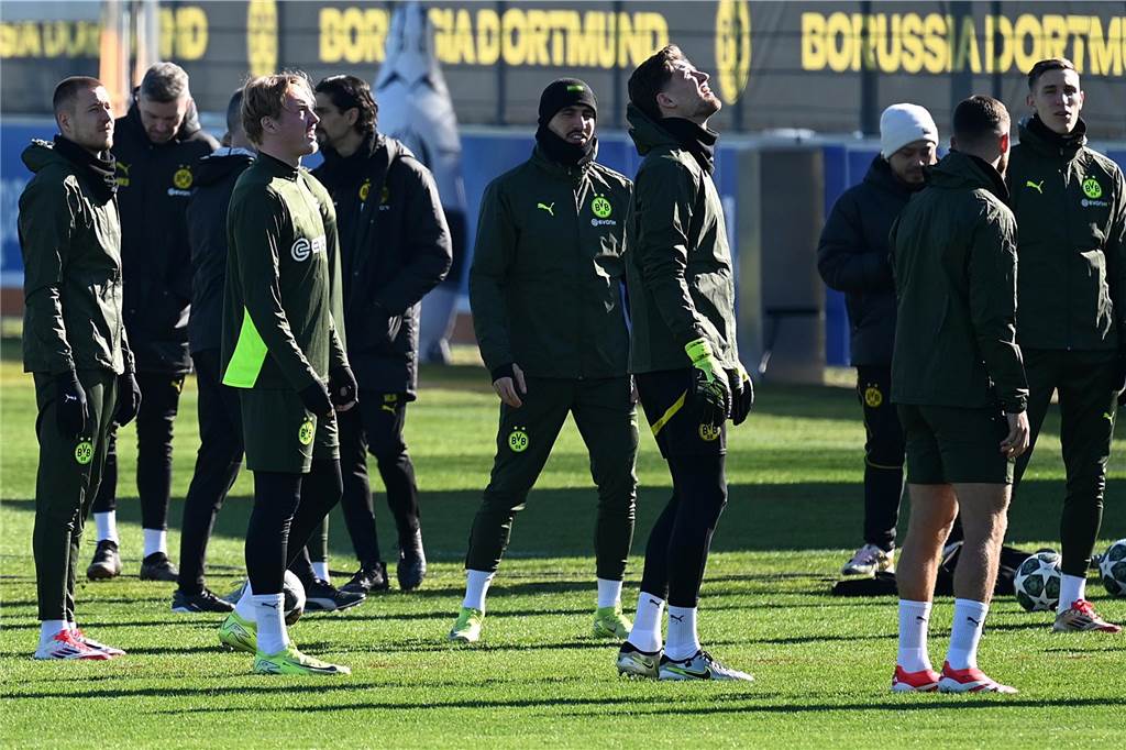 BVB-Abschlusstrining vor dem Heimspiel gegen Lille.