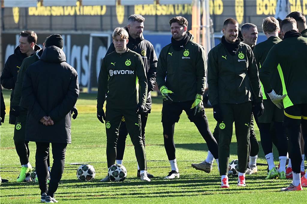 BVB-Abschlusstrining vor dem Heimspiel gegen Lille.