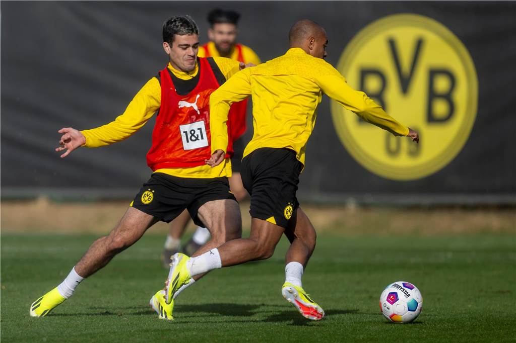 BVB-Training in Marbella am 8. Januar.