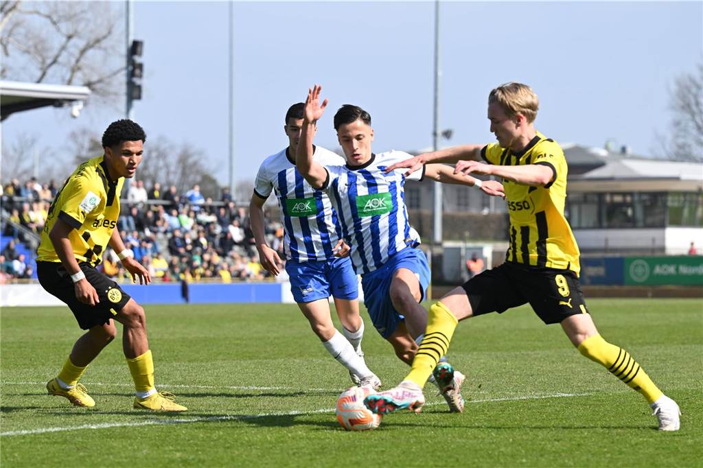 BVB-U19 unter Trainer Mike Tullberg: Pure Dominanz vor Halbfinal-Rückspiel gegen Hertha BVB-U19-Angreifer Julian Rijkhoff im Zweikampf mit Hertha-Spieler Eliyas Strasner.
