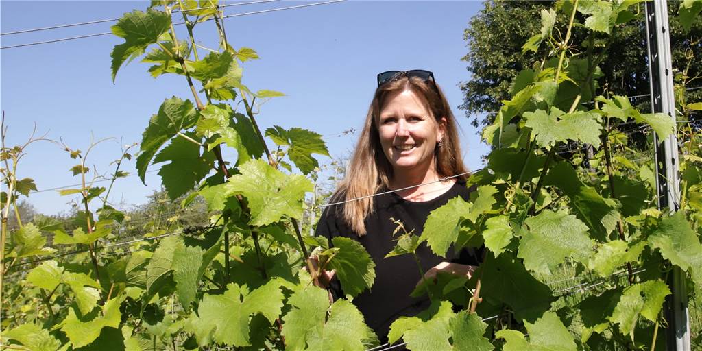 Cappenberg hat den nördlichsten Weinberg Nordrhein-Westfalens: Carola Raffel hat hier ihren Arbeitsplatz.