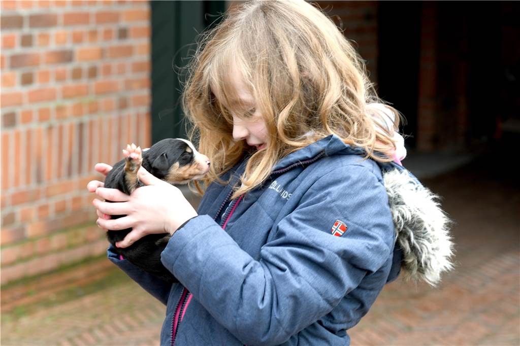 Regina Böckenhoff erzählt den Menschen, wie das Landleben wirklich ist Carla Böckenhoff (8) kümmert sich liebevoll um die Hundewelpen.