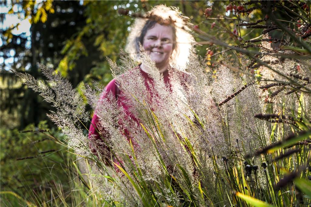 Acht Tipps, wie Sie Ihren Garten fit für den Winter machen Chinaschilf ist eine Pflanzenart, die Trockenheit aushalten kann, sagt Ruth Müller.