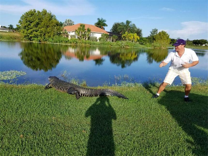 Lüner nennt jetzt Florida sein Zuhause Chris Hadac auf einem Golfplatz in Florida mit einem ungebetenen Gast, einem in dem US-Bundesstaat beheimateten Aligatoren.