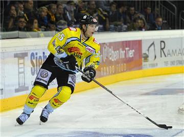 Christian Ehrhoff bei seinem Comeback für die Krefeld Pinguine. Foto: Revierfoto