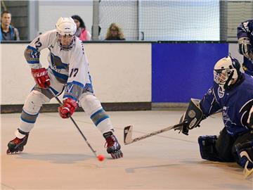 Christoph Schlettert (l.) und die erste Mannschaft der Ahauser Maidy Dogs haben die Spielzeit 2013 in der Regionalliga Mitte auf dem zweiten Platz abgeschlossen.