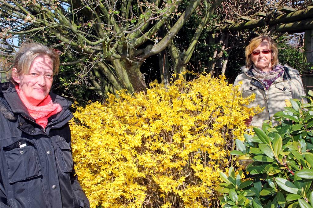 Rückzugsort Kleingarten: „Ich bin gerade jetzt glücklich, dass ich einen Garten habe“ Claudia Kracht (links) und Annemarie Pieper genießen die Frühlingssonne in der Kleingartenanlage Am Westheck. Aber nicht nur das: Im Garten gibt es jetzt einiges zu tun.