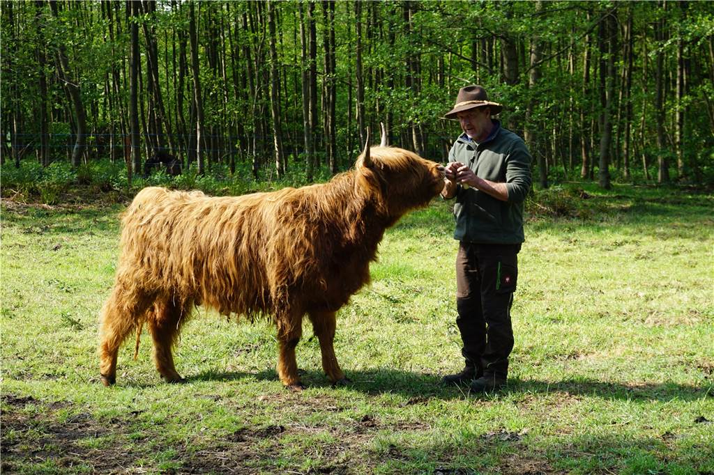 Grafenwälder züchtet Hochlandrinder und verkauft Fleisch auf dem Markt Claus Stratmann im April 2019 mit Hochlandrind Abigail auf einer Weide in Grafenwald.