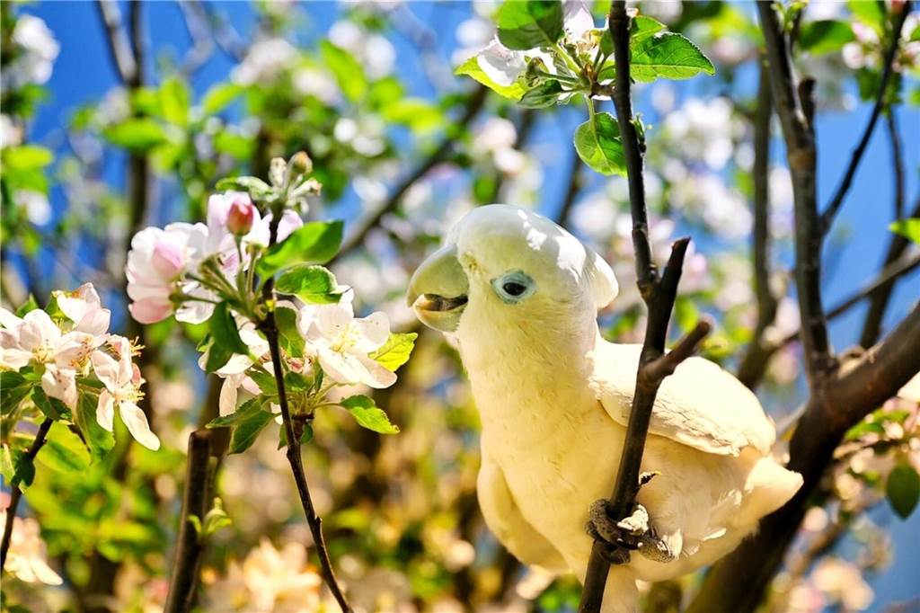 Ein Vogel sitzt in einem Baum.
