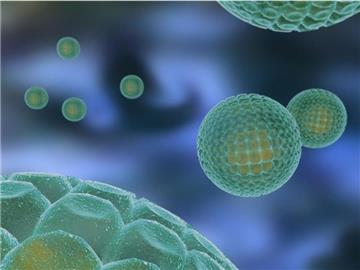 Computerbild der Pharma-Firma Novartis zeigt die schematische Darstellung eines Hepatitis-C-Virus. Foto: Novartis
