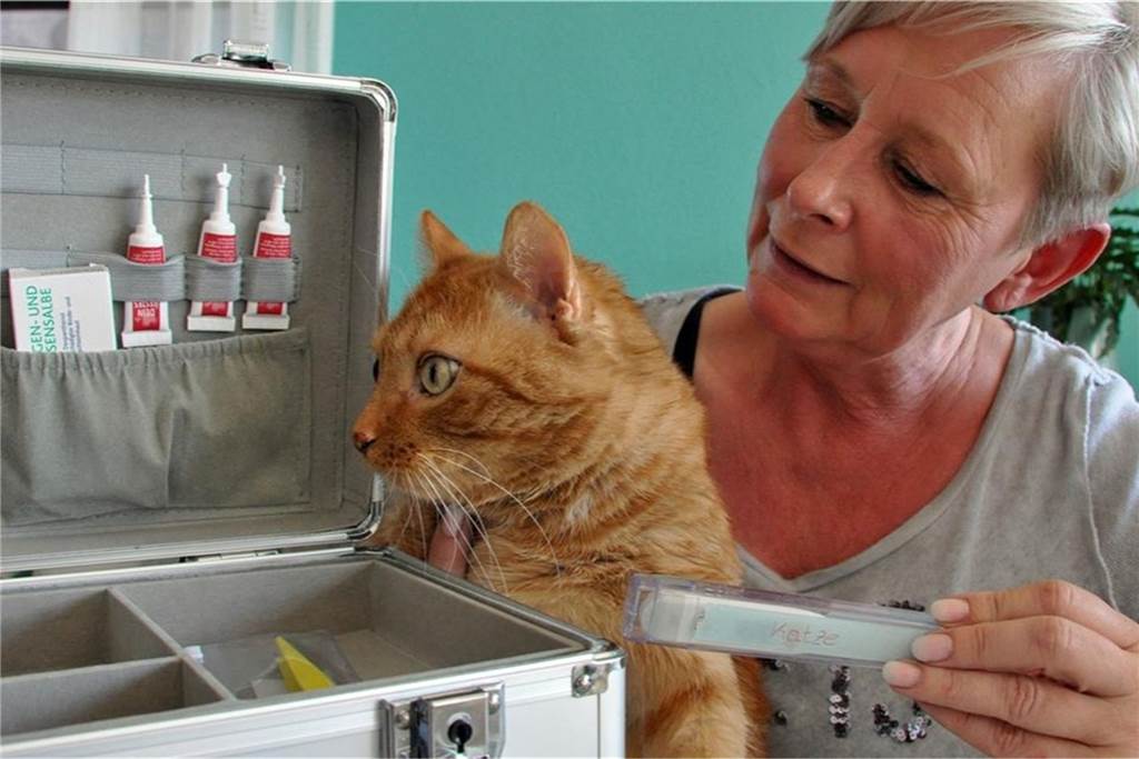 Tierschützer entsetzt: Unbekannte zünden Futterhaus für Katzen an Conny Sander kümmert sich in ihrer Freizeit um Streunerkatzen.
