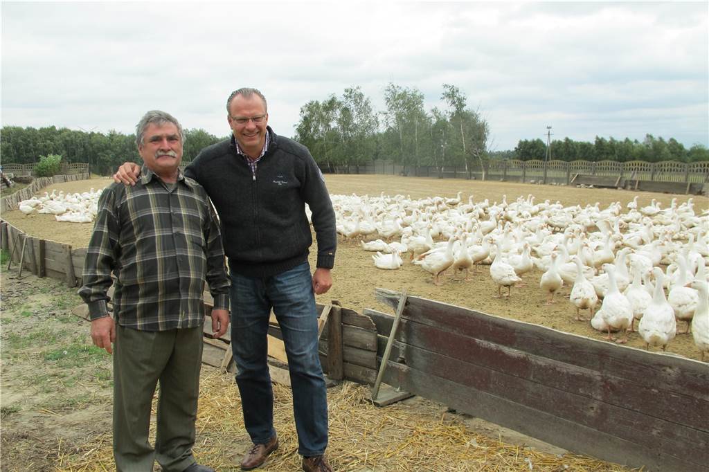 So gelingt die Gans auch ohne Stress: Koch Günther Overkamp gibt Tipps Da schnattern sie noch munter an frischer Luft in Lodz in Polen. Da, wo der Theo immer hinfährt, holt Günther Overkamp bei Gänsewirt Andrzej Kowalczyk die Gänse für seine Dortmunder Gäste.