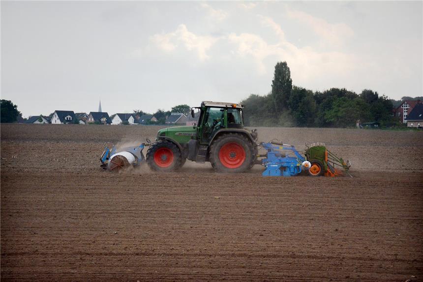 Bloß kein „Disneyland“ Da wo jetzt noch landwirtschaftliche Fläche ist, soll das Baugebiet Hoher Kamp entstehen.