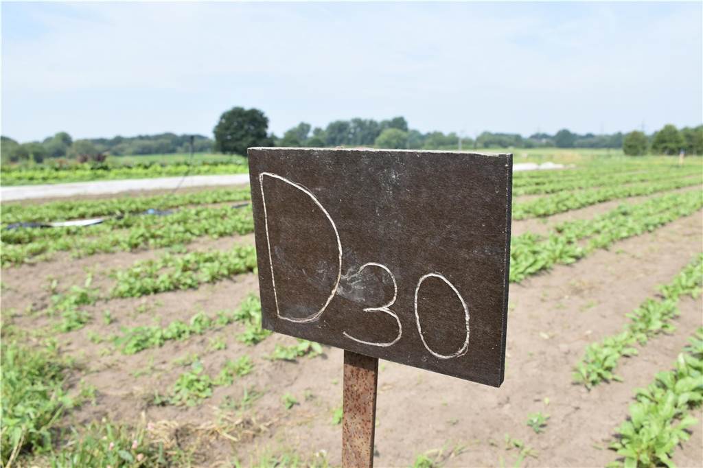 Eindrücke vom Gelände der solidarischen Landwirtschaft in Waltrop.