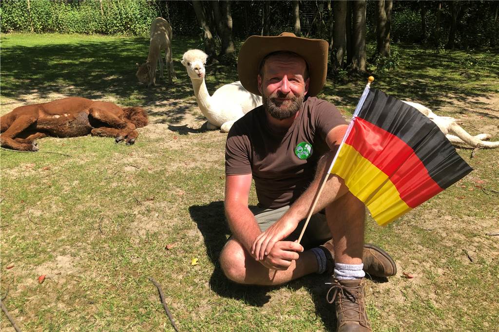 EM-Orakel: Alpakas wissen, ob Deutschland oder Frankreich gewinnt Daniel Hischke drückt der deutschen Mannschaft die Daumen. Seine Alpakas sind da wählerischer.