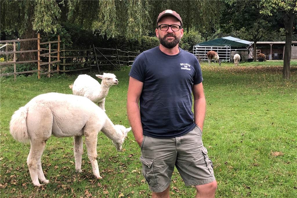 Äpfel, Birnen, Quitten: Jetzt kostenlos für Pflücker in Castrop-Rauxel Daniel Hischke mit seinen Alpakas und Lamas