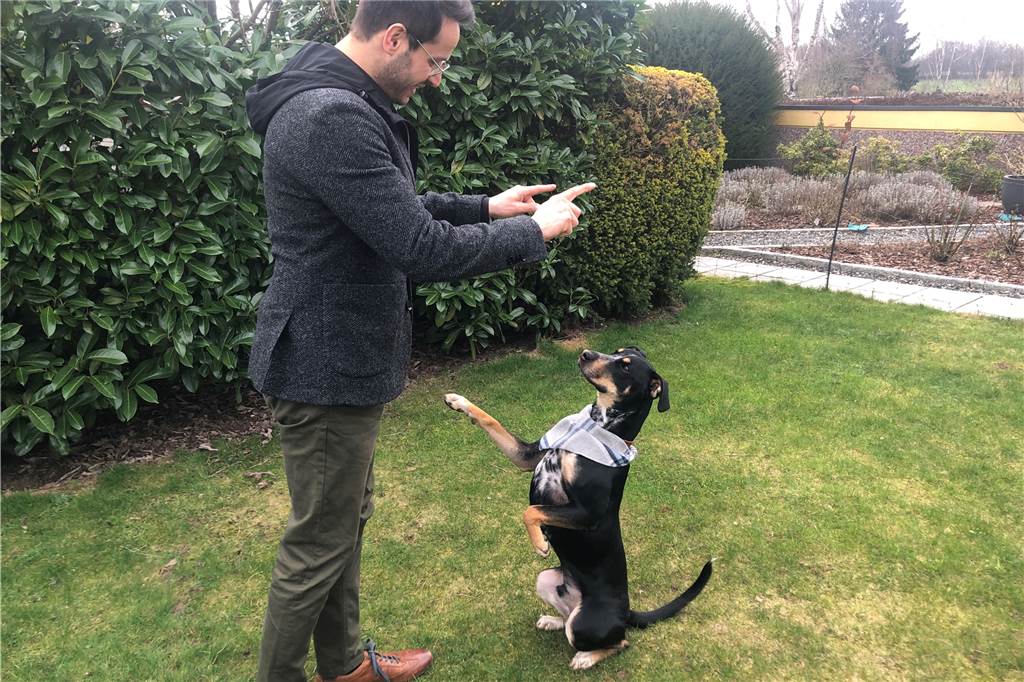 Corona macht Esther (31) und Daniel (41) zu Hunde-Eltern: „Freuen uns jeden Tag“ Daniel Sprint trainiert mit Merlin. Zur Belohnung gibt es einen Hundekeks.