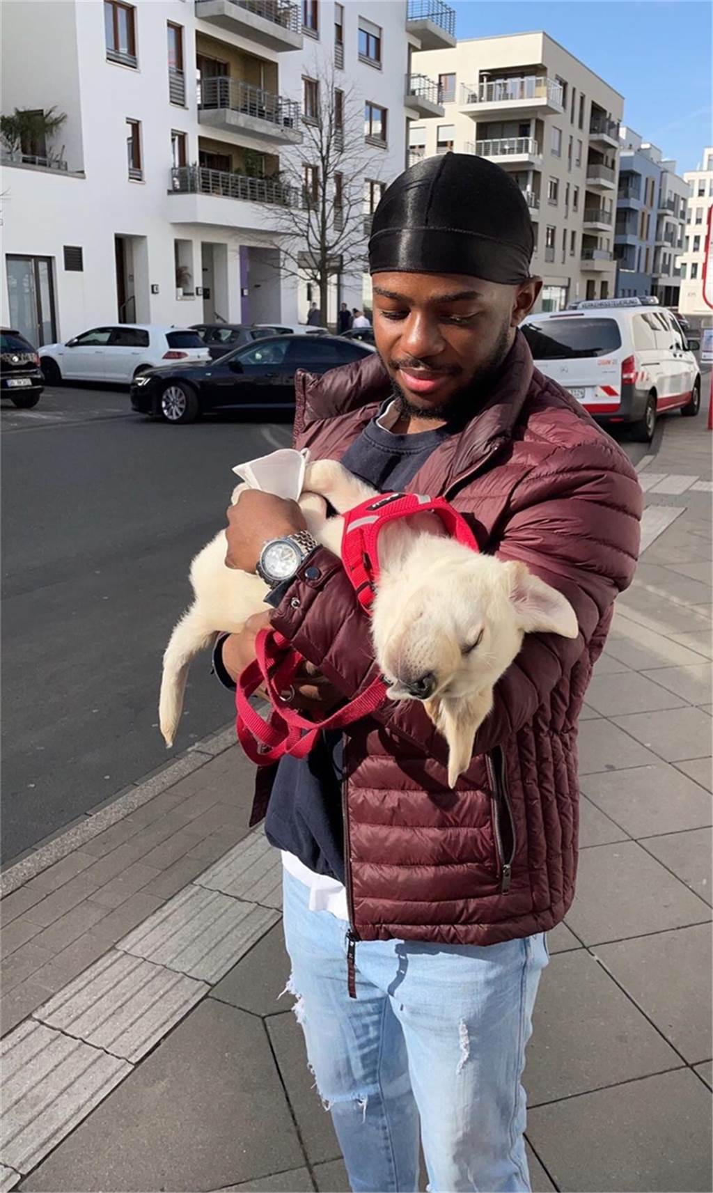 Besondere Freundschaften: Diese Hunde machen die Dortmunder Fußballer fit Daniel Touko mit Sam