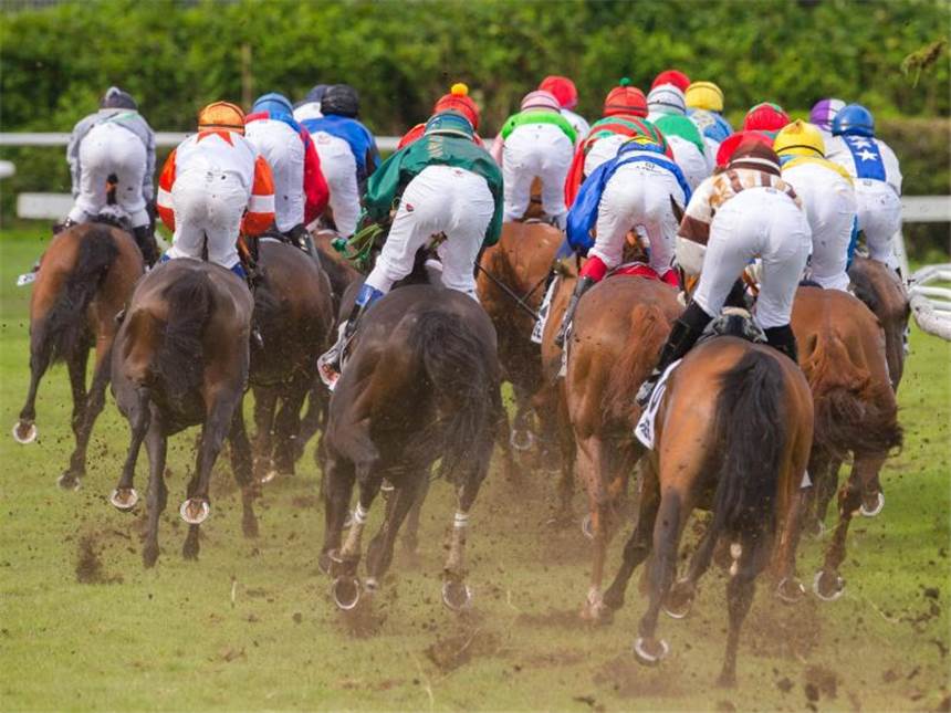 Highlight des Galopprennsports: 148. Deutsches Derby Das 148. Deutsche Derby im Galopprennsport findet am Sonntag in Hamburg statt. Foto: Daniel Bockwoldt