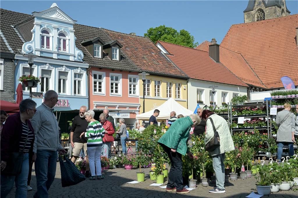 Das Ambiente des geschlossenen Marktplatzes mit dem dahinter liegenden Kirchplatz lockt regelmäßig auch Touristinnen und Touristen an. 