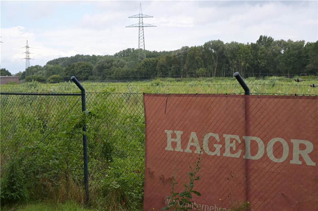 Politik bremst Entwicklung von Ex-Steag-Fläche: Hagedorn verzweifelt Das Archivbild zeigt einen Teil der ehemaligen Steag-Nordfläche.
