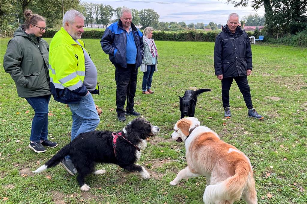 Schnupperstunde auf neuer Hundewiese: Verein freut sich über Resonanz Das ausgelassenes Spiel unter Hunden ist auf der eingezäunten Wiese möglich.