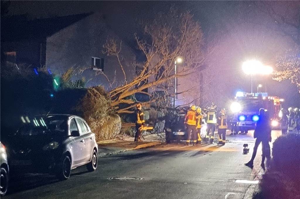 Sturm „Zeynep“ in Schwerte: Baum kippt auf Auto – Feuerwehr im Dauereinsatz Das Auto wurde durch den umgestürzten Baum wohl nur leicht beschädigt.