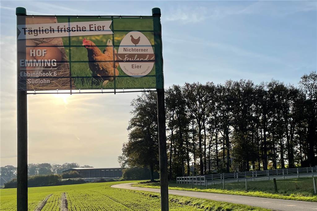 Frische Eier aus mobilen Ställen: Höfe in Oeding setzen auf regionale Produkte Das Banner kündigt es auf dem Weg von der B70 zum Hof an: Täglich frische Eier gibt es auf dem Hof Emming.